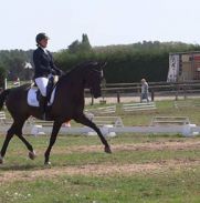 Jersey 6 jarige proef
