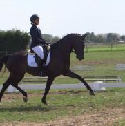 Jersey 6 jarige proef