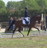 Dolfje 4 jarige proef