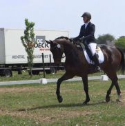 Katharina 5-jarige proef